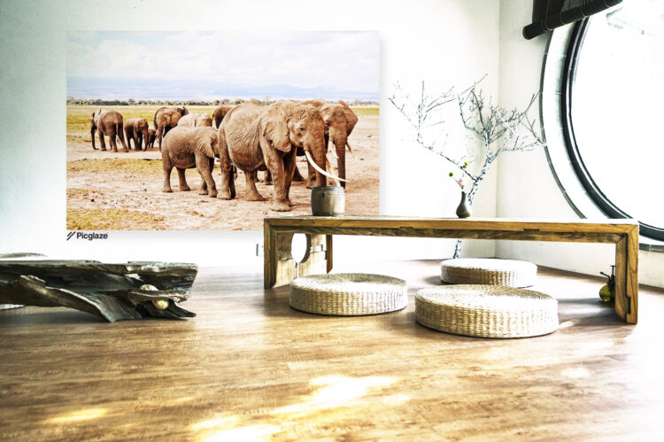 Imprimir Fotos Grandes para decoración Imprimir Fotos Grandes para decoración