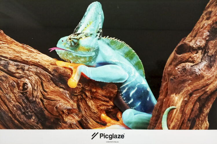 Impresión Fotos Digitales Impresión Fotos Digitales